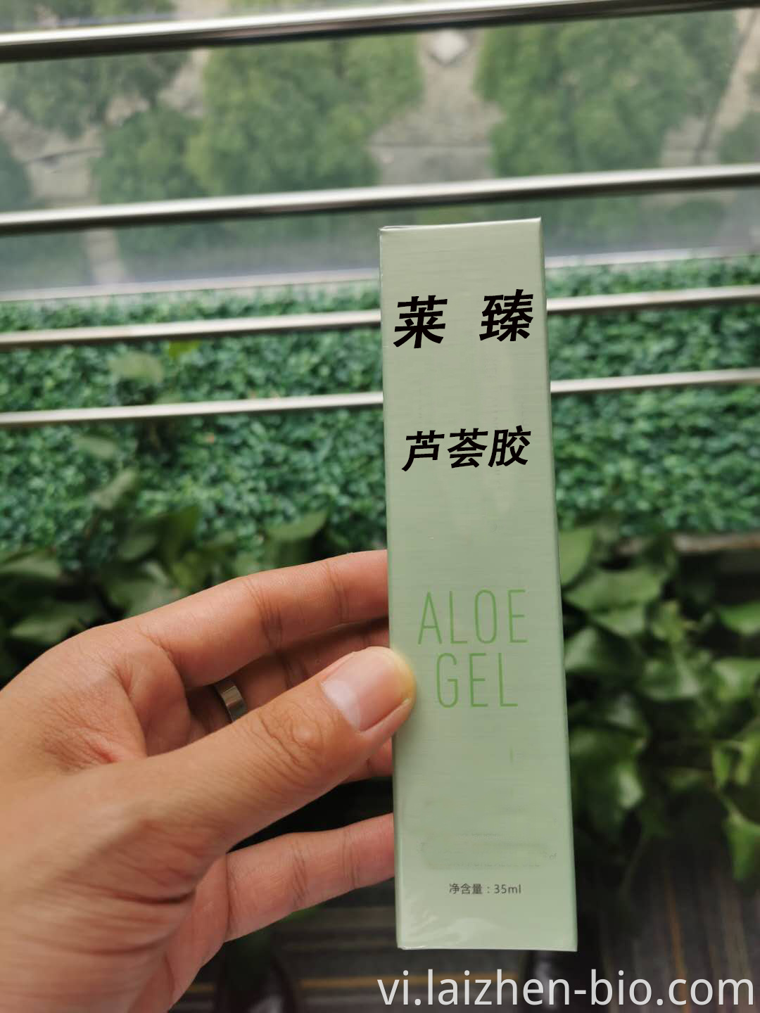 aloe vera gel from nature